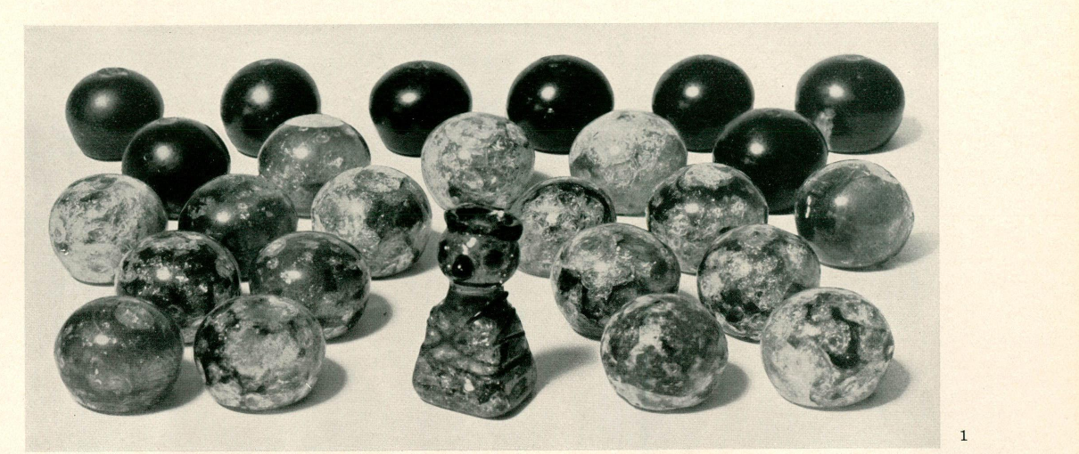 Original: Birka, Grab Bj 750 — 26 Glas-Spielsteine inkl. »König« aus grüner Glasmasse (Inv. 217:49, Höhe 4,1 cm). Arbman 1943, Birka I, Taf. 147:1
