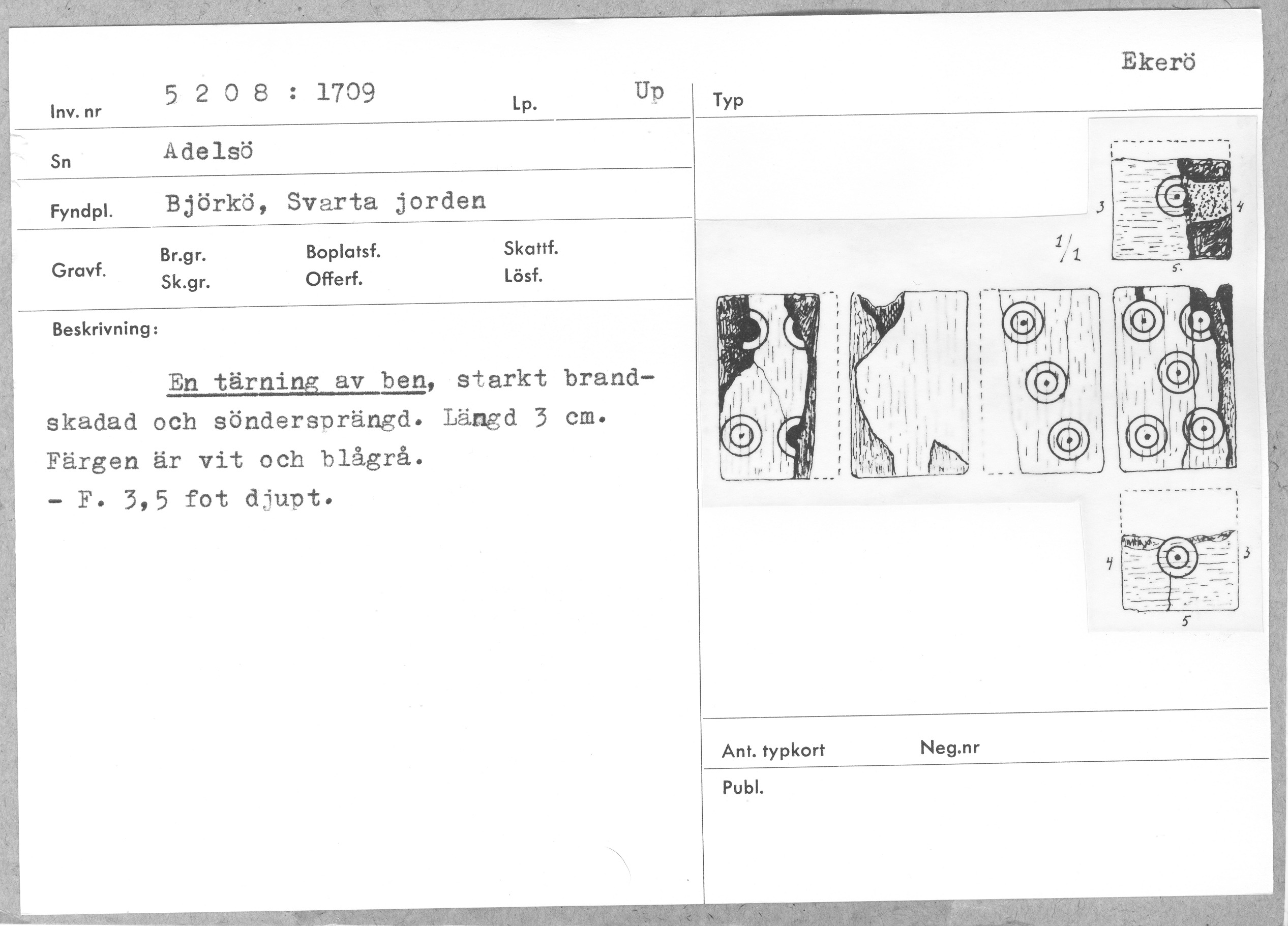 Historisches Antikvarisk-topografisches Typkort, Inv. nr 5208:1709, mit Beschreibung und Strichzeichnungen der Würfelseiten