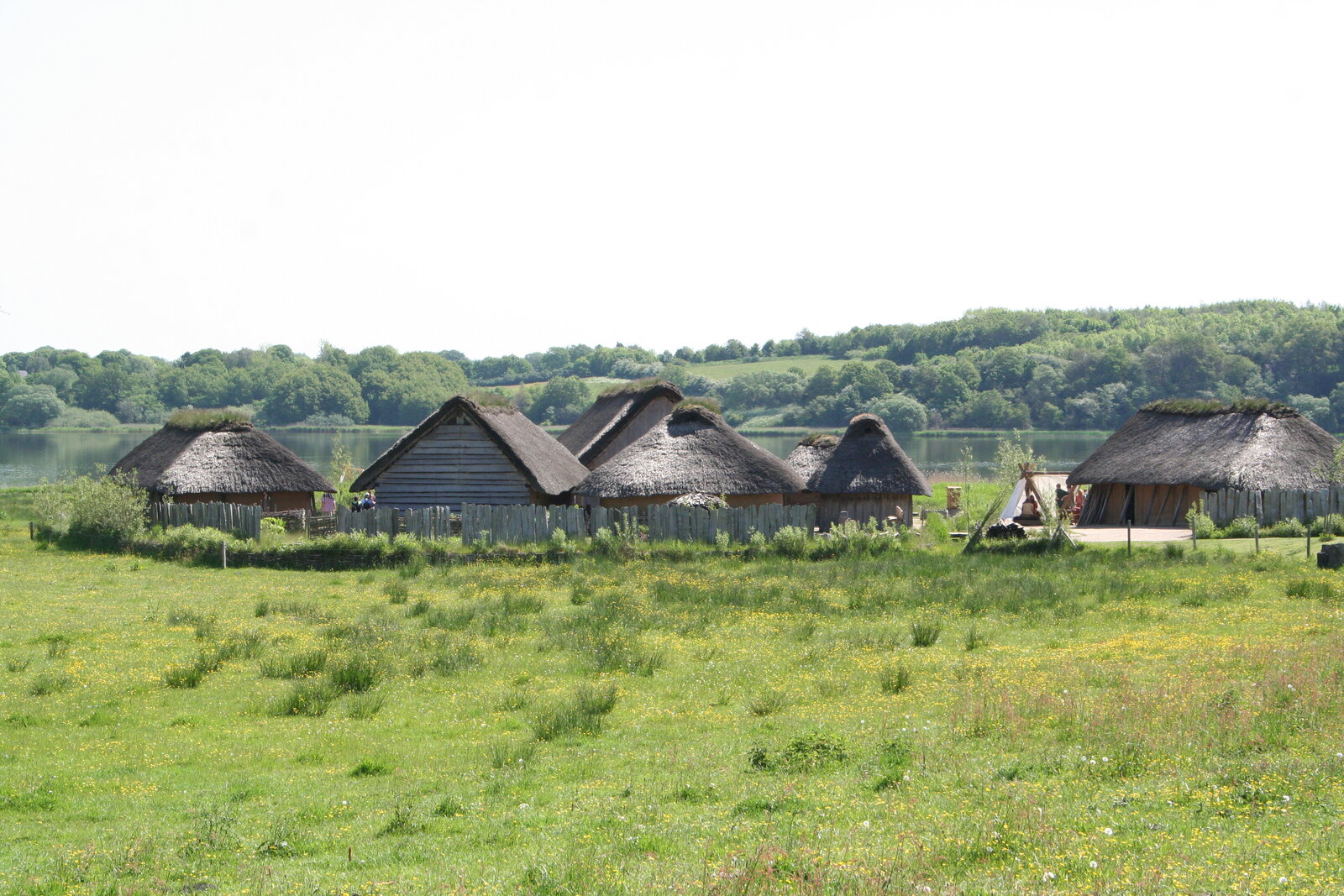 Rekonstruierte Wikinger-Häuser im Freigelände des Wikinger Museum Haithabu (Foto: Einsamer Schütze, CC BY-SA 3.0, Wikimedia Commons)